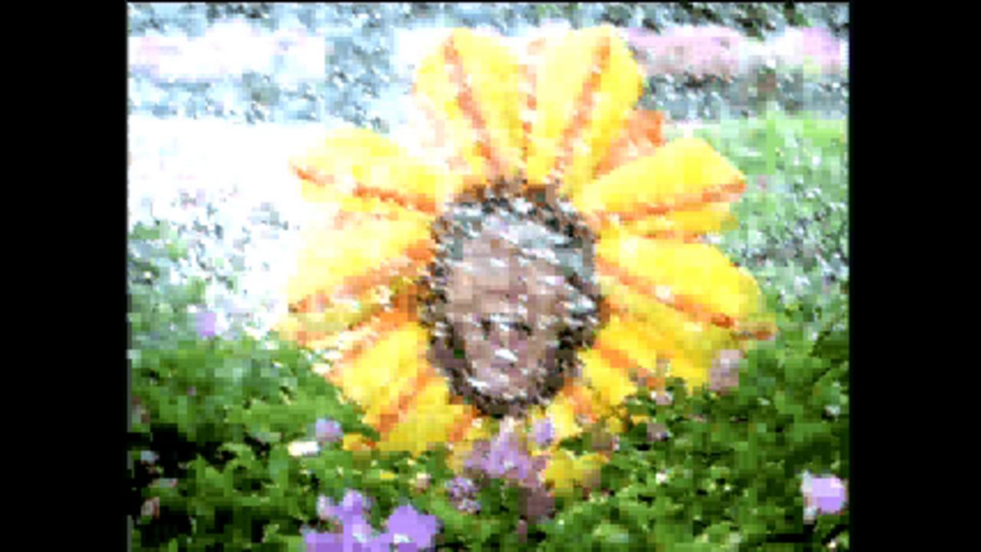 Wild Wild Wet TV Commercial