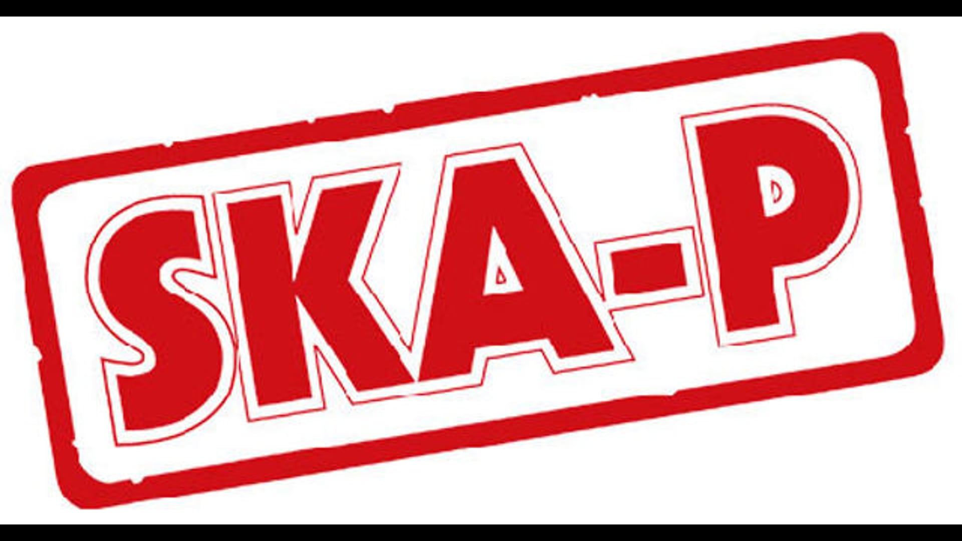 SKA-P - Paris 2013 - Report (directed by Stef Bloch)