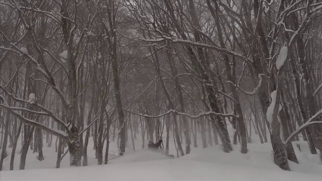 JAPAN JOURNALS EPISODE 4 from Japan Journals