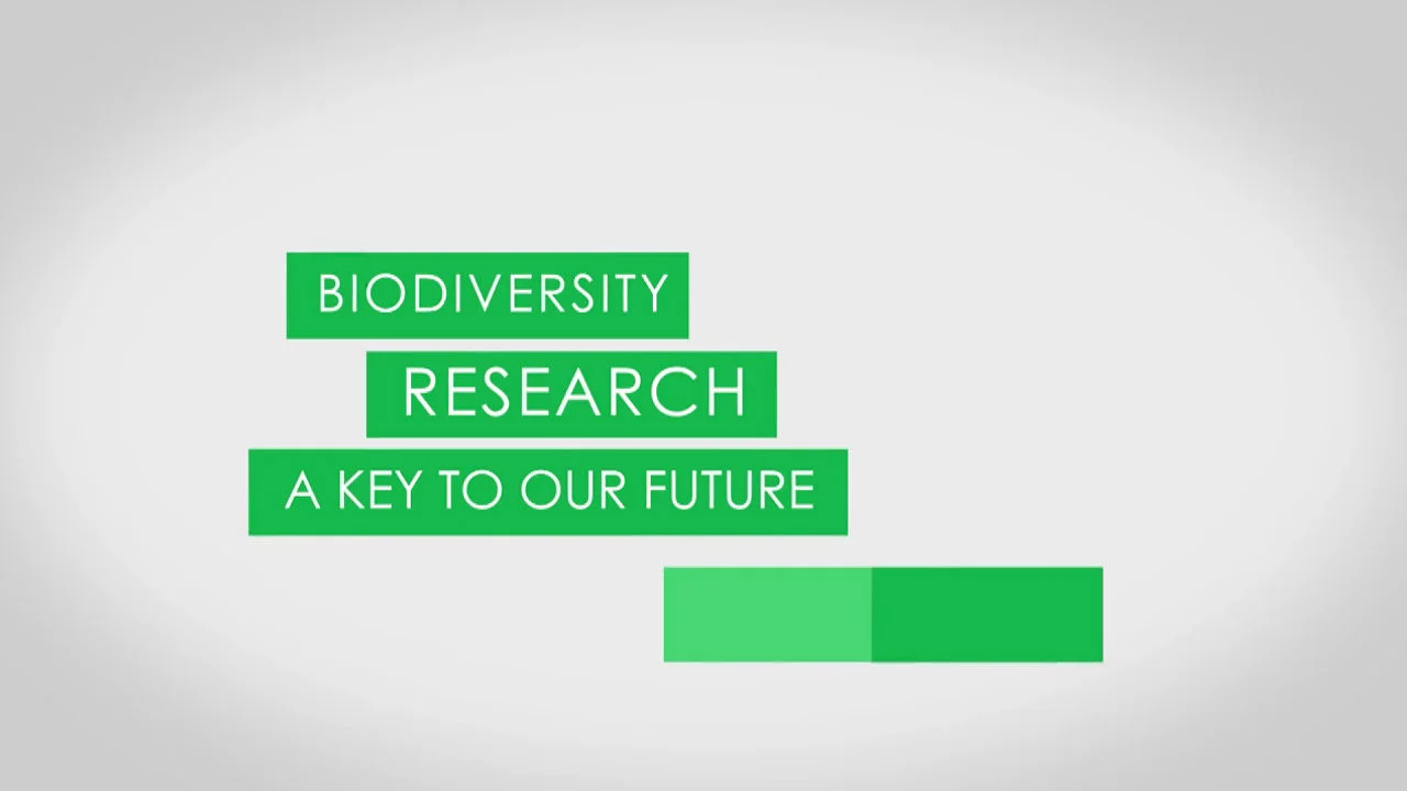 2023 WeDigBio's Why Dig Bio–Major Motivations Across Scale for Digitizing  Biodiversity on Vimeo