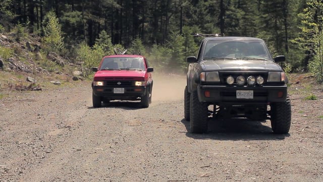 Ian Morrison, meet Steve Smith