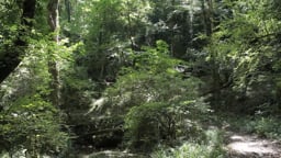 Souleillat