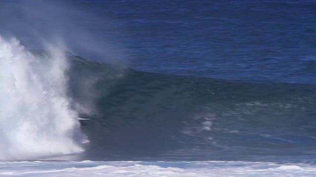 Dingo Inside Waves from Nate Leal