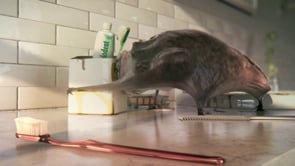 Dvein's Advertising Works