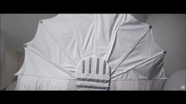 Totally Enormous Extinct Dinosaurs - American Dream Part II thumbnail