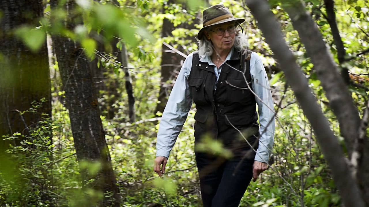 Morel Season on Vimeo