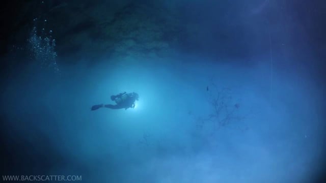 Cenotes Mexico - Canon 5D Mark III Underwater Video