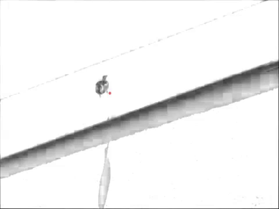 Motion tracking for logotype on Vimeo