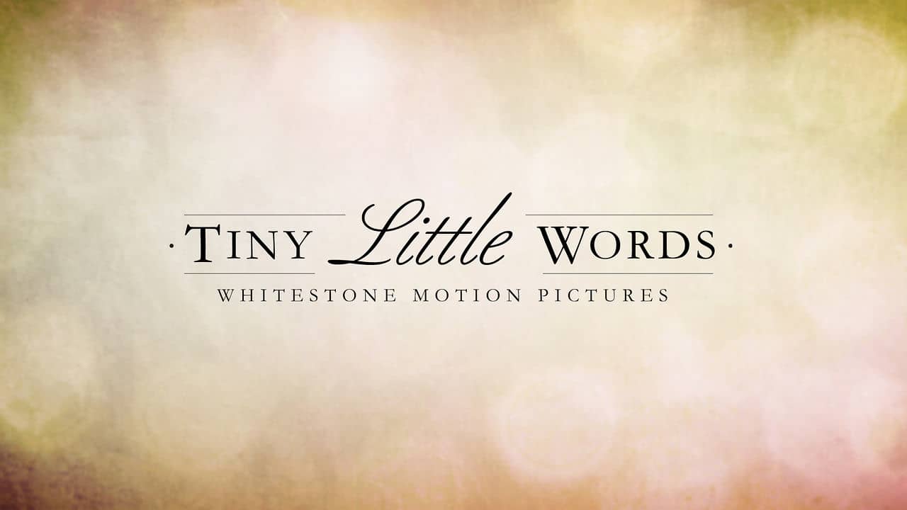 tiny-little-words-on-vimeo