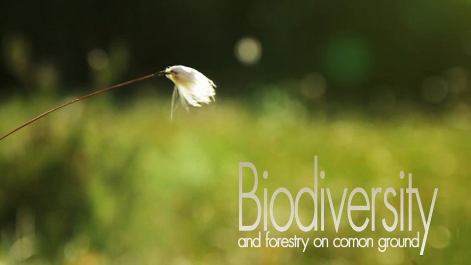 UPM biodiversity on Vimeo