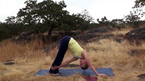 5 Day Beginner Yoga Sample Workout – Yoga Foundation on Vimeo