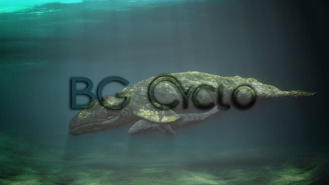 BG Cyclo