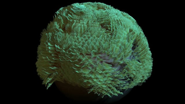 jcFeather dynamic test