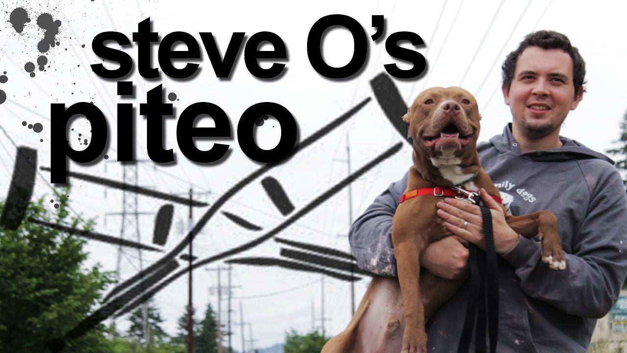 Steve O's Piteo on Vimeo