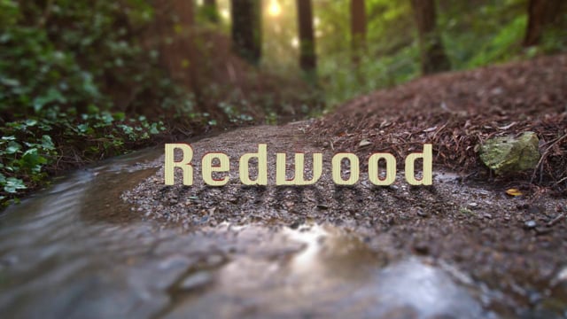 California Redwood National Parks Timelapse Video