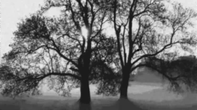 Чудесное дерево, стало моим любимым