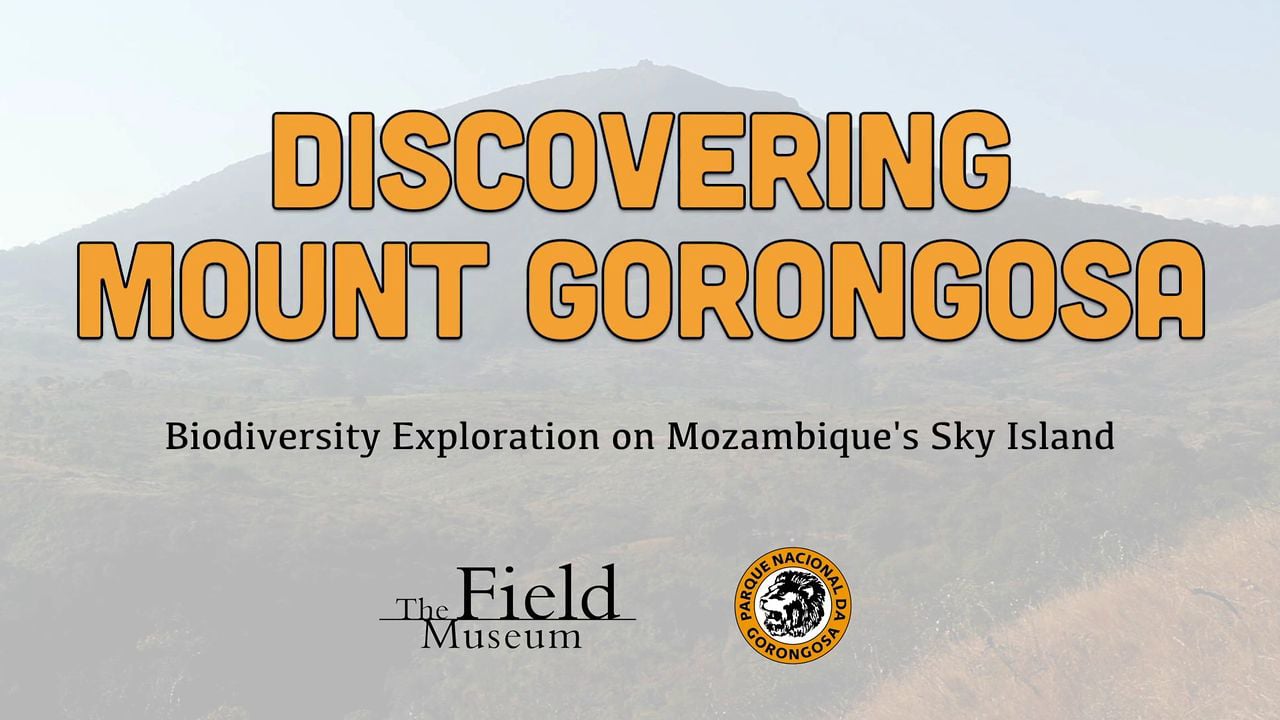 Discovering Mount Gorongosa