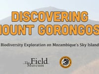 Discovering Mount Gorongosa