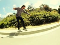 THE PREDATORY BIRD LIFESTYLE