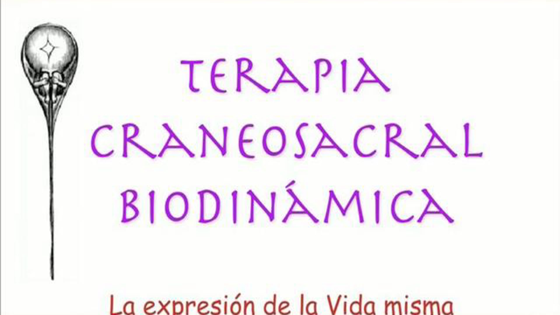 Biodinámica Craneosacral