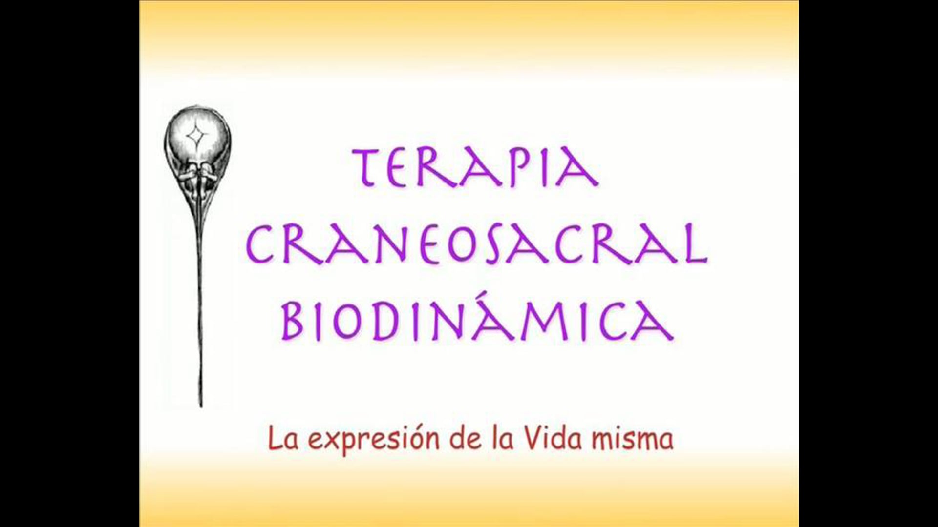 Biodinámica Craneosacral