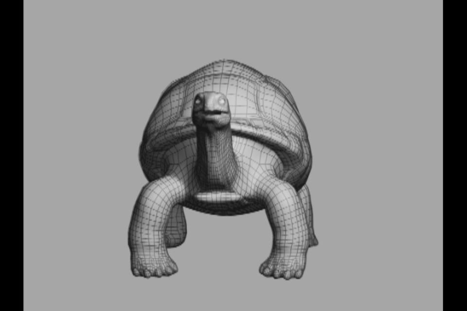 Wireframe demo by Bruce Buckley - Zerply