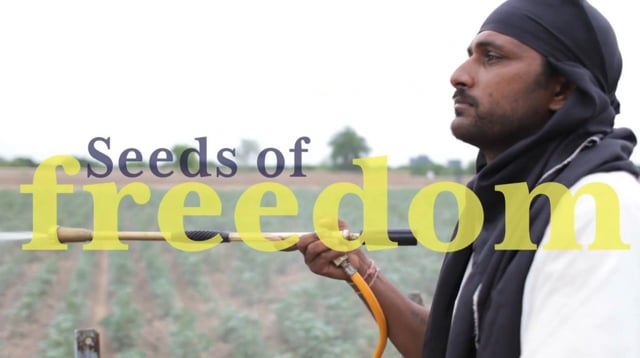 Seeds of Freedom
