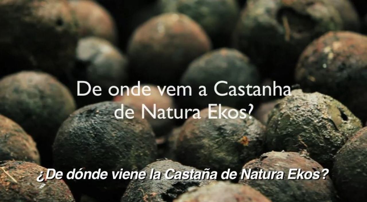 De dónde viene la Castaña de Natura Ekos? on Vimeo