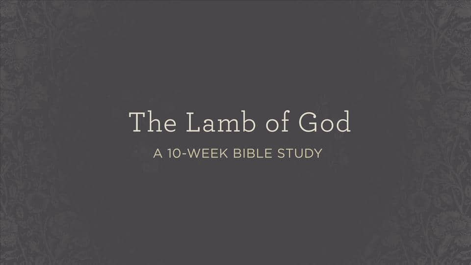 "The Lamb of God" Downloadable Church site Invitation Video for 10