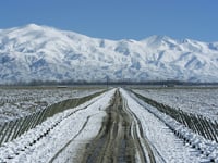 wine article Land of Elements Mendoza