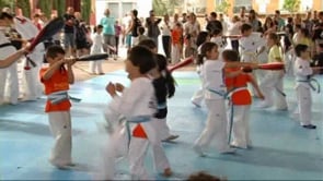 Fi de Curs de Taekwondo
