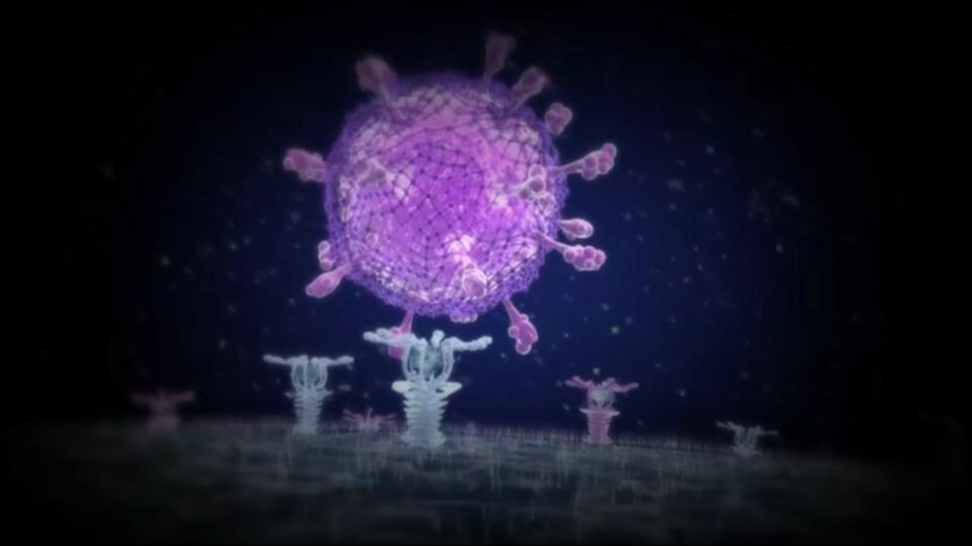 Virus / Case studies