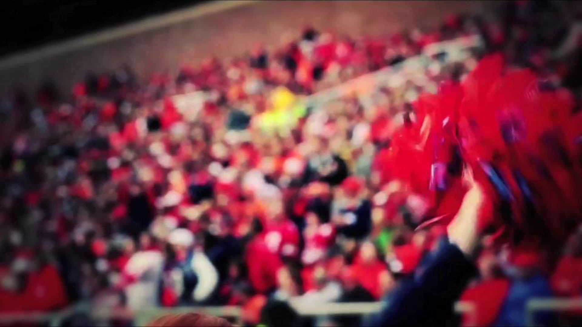 Skype Virtual Stadium