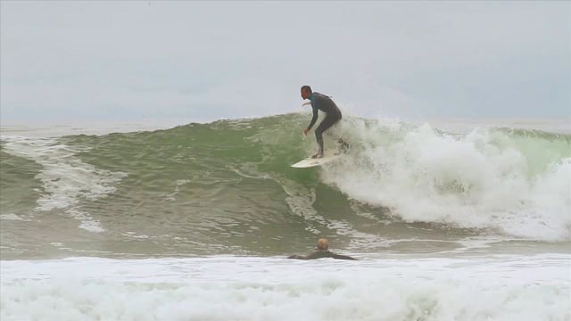 May from Torrey Meister