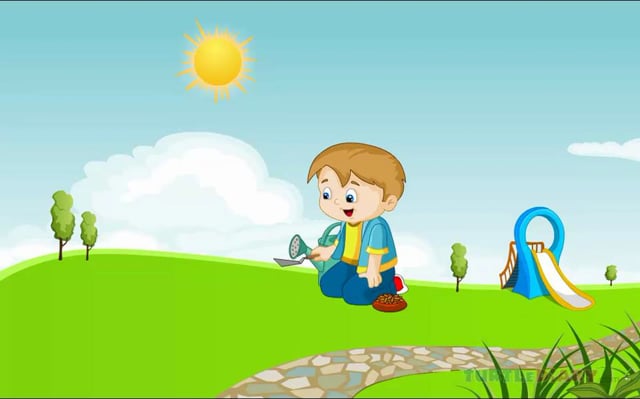 Learn all about How to Grow A Plant at www.turtlediary.com