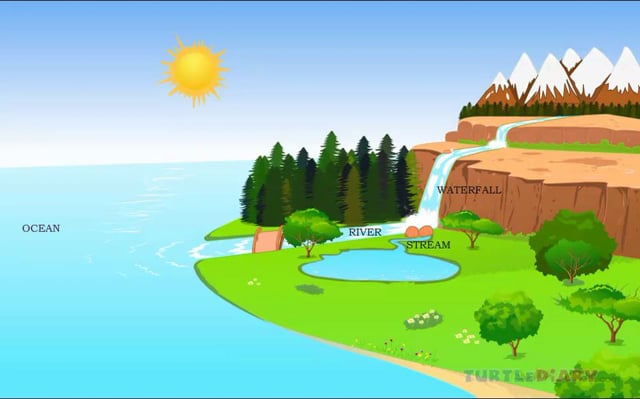 Animated Lesson to learn all about Water Cycle at www.turtlediary.com