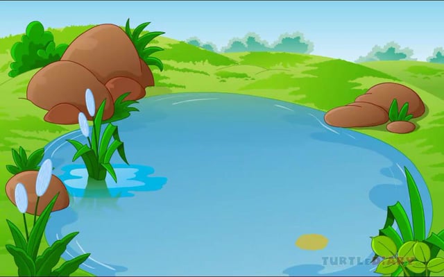 Learn all about a Frog's Life Cycle at www.turtlediary.com