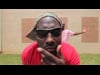 Sample Intro
