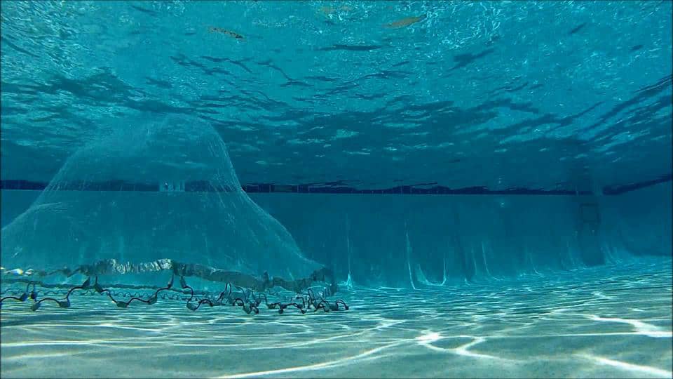 Cast net with Duct tape on Vimeo