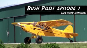 BUSH PILOT SERIES