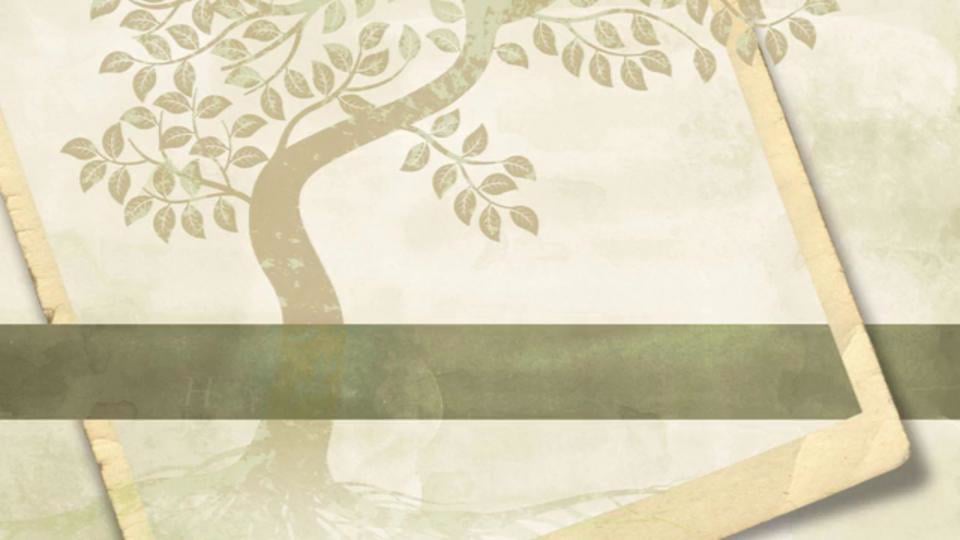 Secondary Market Dealer Of Hallmark Christmas Ornaments & Collectibles