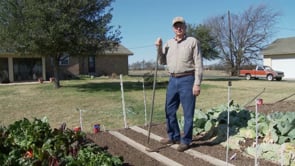 Good Gardening - Planting Radish and Carrots