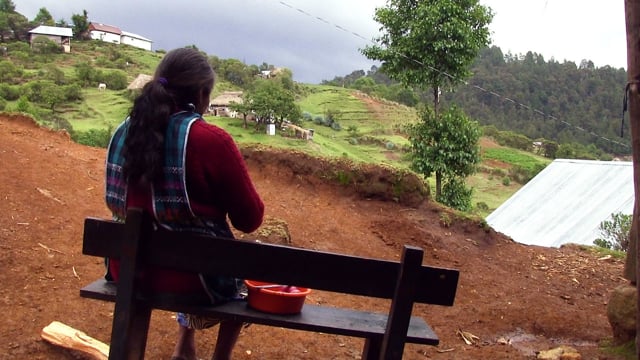 Campesino a Campesino