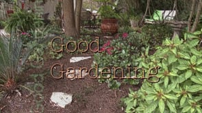 Good Gardening - Perenials