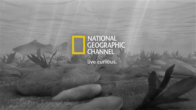 National Geographic Fish Warrior