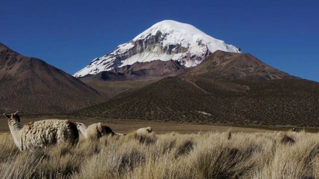 On The Road Episode VIII – Tres Volcanes from Sweetgrass Productions