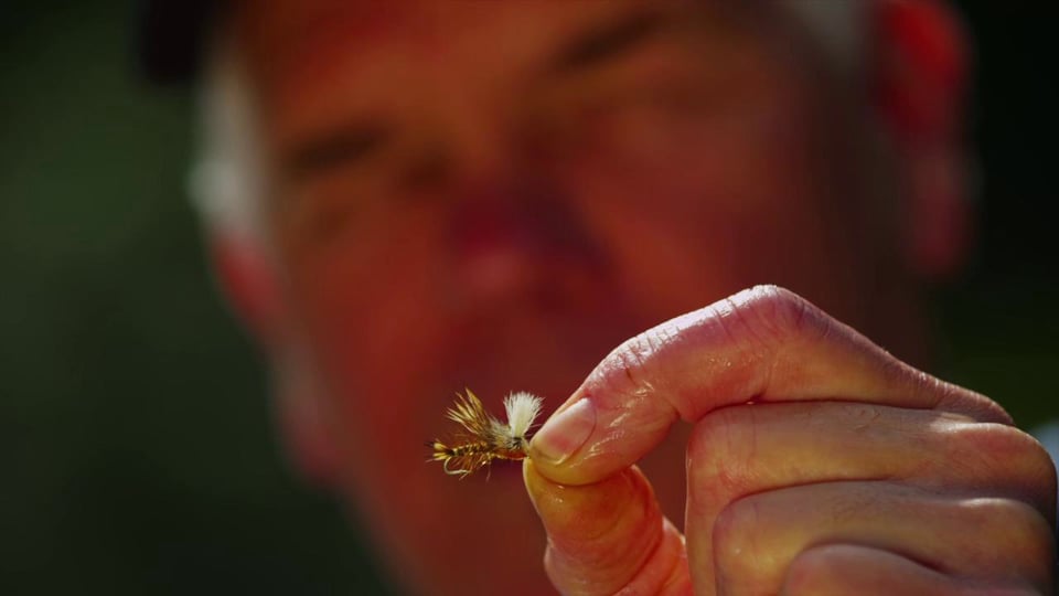 Sage circa rod - Fly Fishing, Gink and Gasoline, How to Fly Fish, Trout  Fishing, Fly Tying