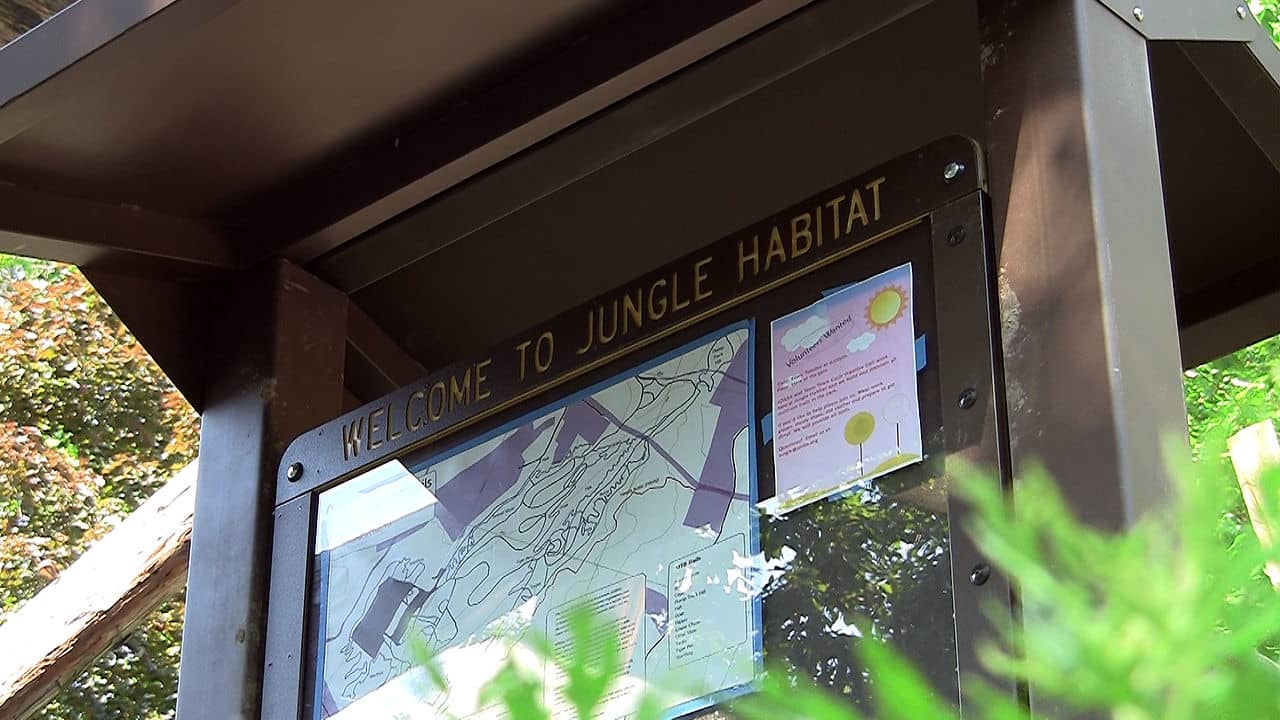 Jungle Habitat NJ on Vimeo