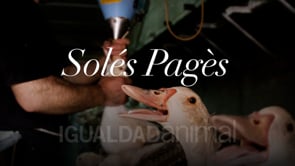 Granja de Solés Pagès – Colomers (Cataluña)