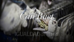 Granja de foie gras Can Ruet – El Far d’Empordà (Cataluña)